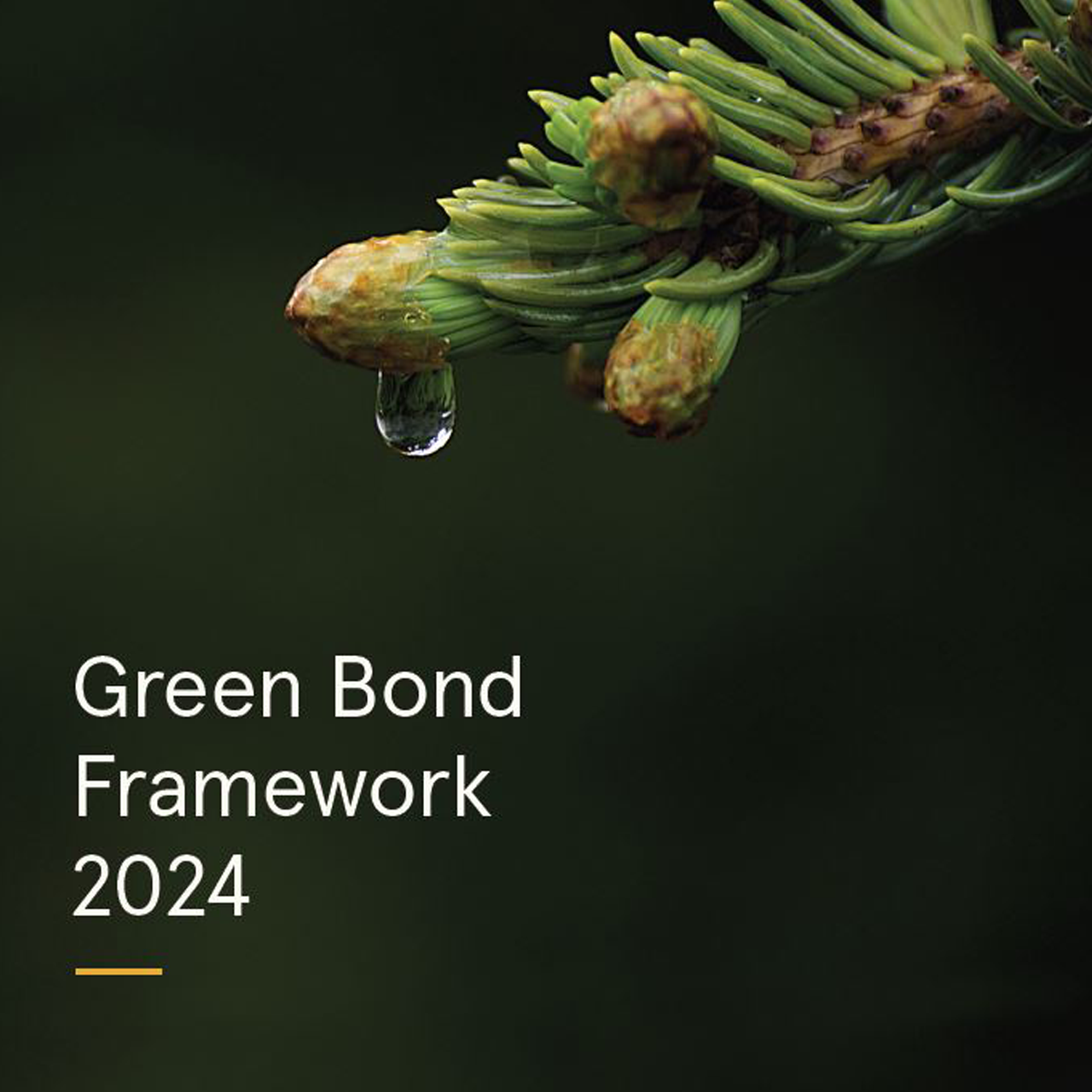 We have successfully issued our first green bonds